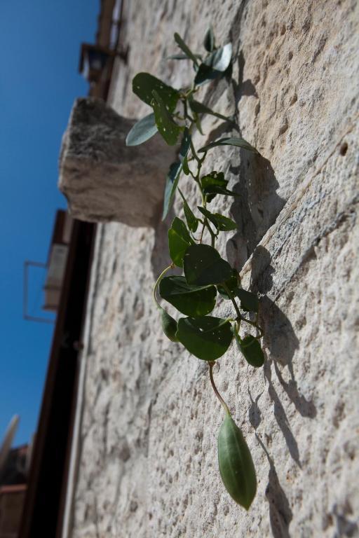 Villa Donna Trogir Exterior photo